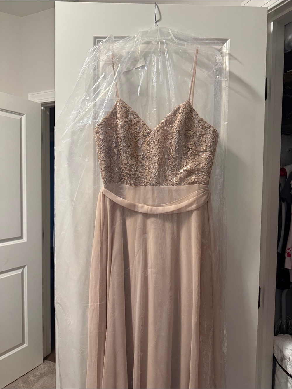 Blush Lace Bodice Spaghetti Strap Prom Dress